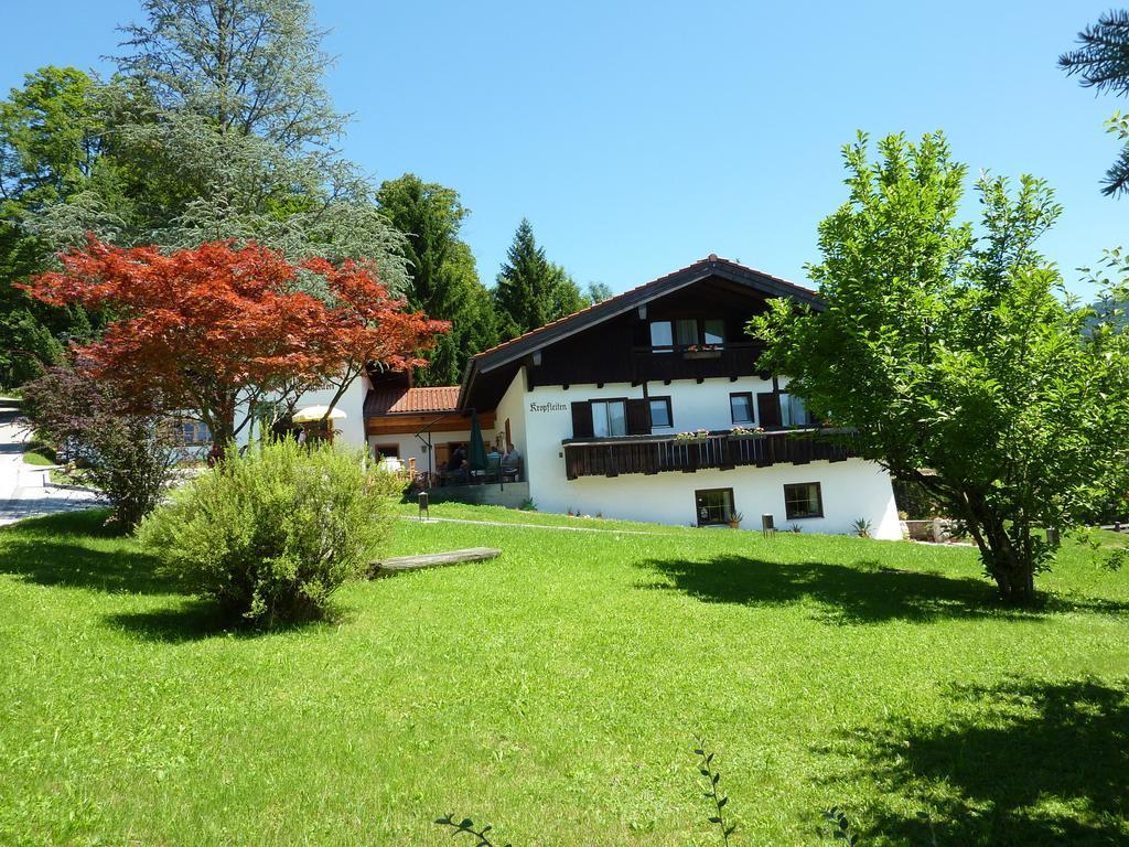 Guest house Alpenpension Kropfleiten